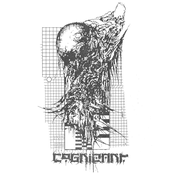 Cognizant: Cryptic Void / Cognizant