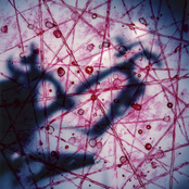 All Is Not Coherent in Nature: Polystudies for Algorithm & Electric Guitar