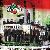 Banda Fresa