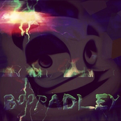 b00 radley