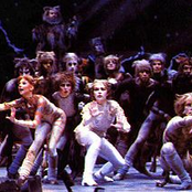 Cast Of Cats