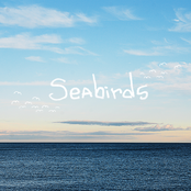Seabirds