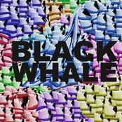 Black Whale