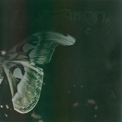 Ten Peppermint Butterflies In A Ray Of Moonlight by Metrognom