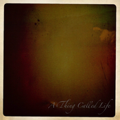 Thoughts of a Wonderer