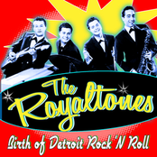 Flamingo Express by The Royaltones