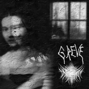 Void It / Greve Split
