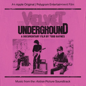 The Velvet Underground: A Documentary Film By Todd Haynes (Music From The Motion Picture Soundtrack)
