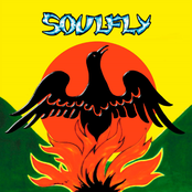 Pain by Soulfly