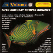 Volume 17 - Fifth Birthday Bumper Bonanza!