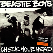 Gratitude (live At Budokan) by Beastie Boys