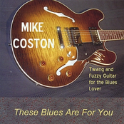 She Got My Money Too by Mike Coston