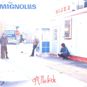 Never Lasts by The Magnolias