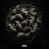 KUOLEMATON / ROTTA (feat. ibe)