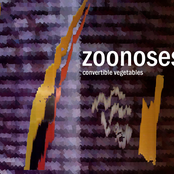 Convertible Vegetables