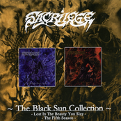 Black Sun Collection