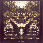 Overblijfsel / Wiederklingen