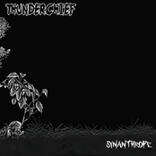 Thunderchief: Synanthrope