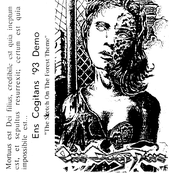 The Sketch On The Forest Theme