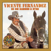 Ensayo by Vicente Fernández