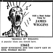 james 'boodle it' wiggins