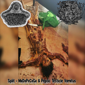 MxDxPxCxGx & Peptic Testicle Vomitus