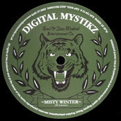 Misty Winter by Digital Mystikz