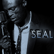 I'm Still In Love With You by Seal