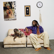 13 Months of Sunshine