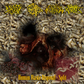 Human Waste Disposal - Split