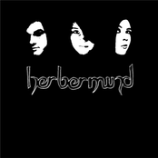 herbermind