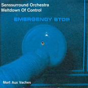 senssurround orchestra