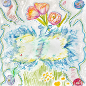 Чудиковатая история