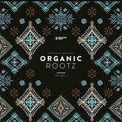 Organic Rootz, Vol. 3