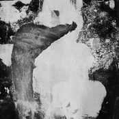 A Few Blank Pages of Dim Light