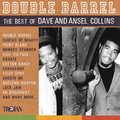 Double Barrel - The Best of Dave  Ansel Collins