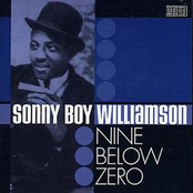 the blues collection 10: nine below zero