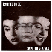Scatter Brained