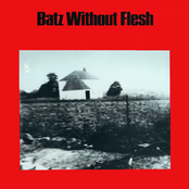 Batz Without Flesh EP