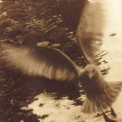 Take Me Home: A Tribute to John Denver