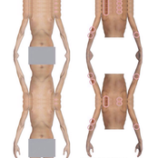 [RVR0241] Tunnerminnerwait