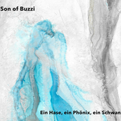 Ein Hase, ein Phönix, ein Schwan