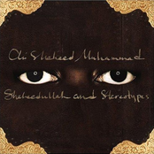 Ali Shaheed Muhammad: Shaheedullah And Stereotypes