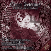 Im Garten Des Nichts (a Secret Light In The Garden Of My Void) by Sopor Aeternus & The Ensemble Of Shadows