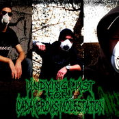 undying lust for cadaverous molestation