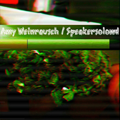 Amy Weinrausch / Speakersolowd