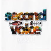 D.A.W.N. The Collection