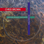 Chris Brown: Iconicities