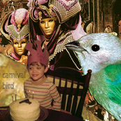 Carnival Bird
