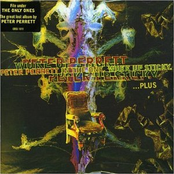 Law Of The Jungle by Peter Perrett